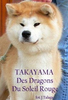 Utakayama Des Dragons Du Soleil Rouge